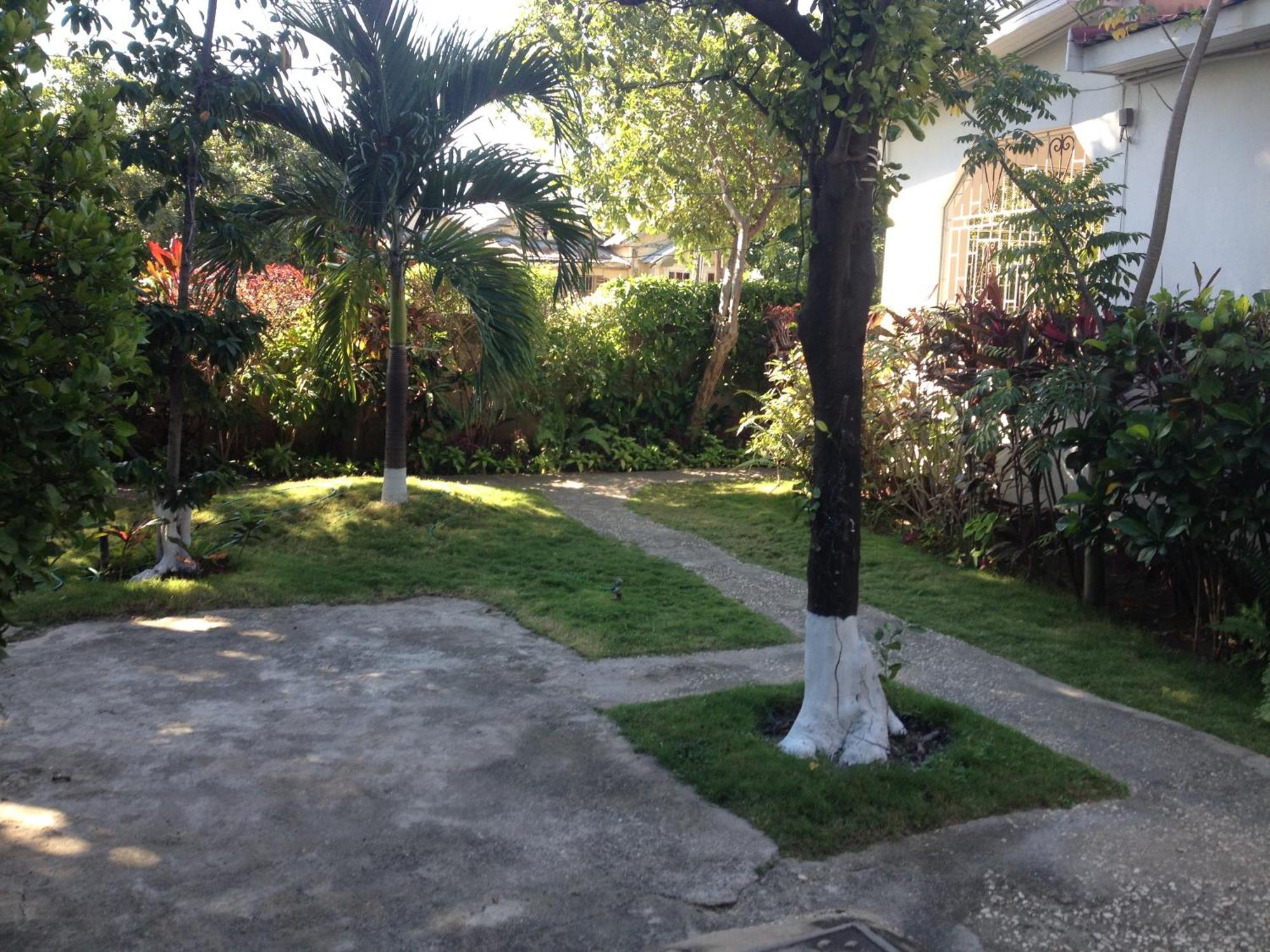 Kingston Airport Bed And Breakfast Exterior photo